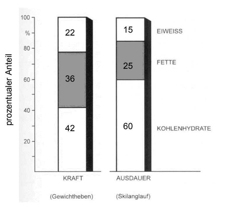 Säulendiagramm: prozentuale Anteile von Kohlenhydraten, Fetten und Eiweiß bei Kraft- und Ausdauersport.